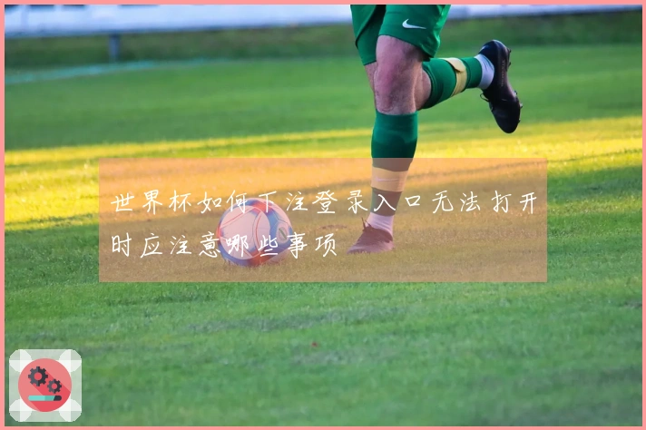 世界杯如何下注登录入口无法打开时应注意哪些事项