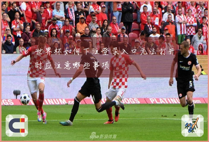 世界杯如何下注登录入口无法打开时应注意哪些事项