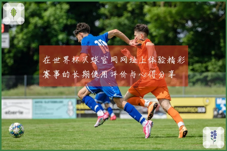 在世界杯买球官网网址上体验精彩赛事的长期使用评价与心得分享