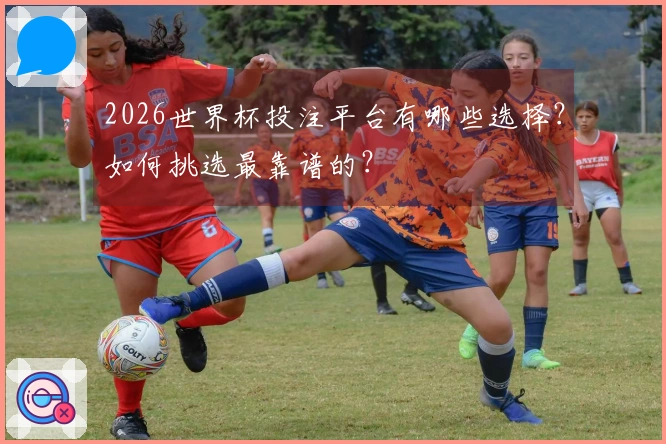 2026世界杯投注平台有哪些选择？如何挑选最靠谱的？