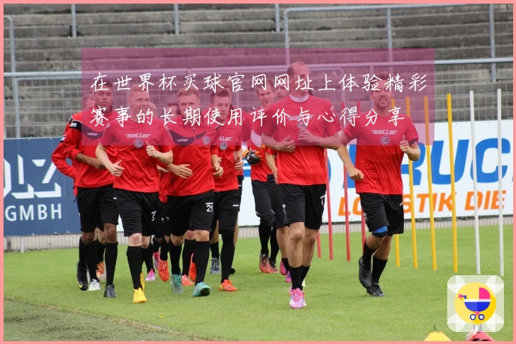 在世界杯买球官网网址上体验精彩赛事的长期使用评价与心得分享