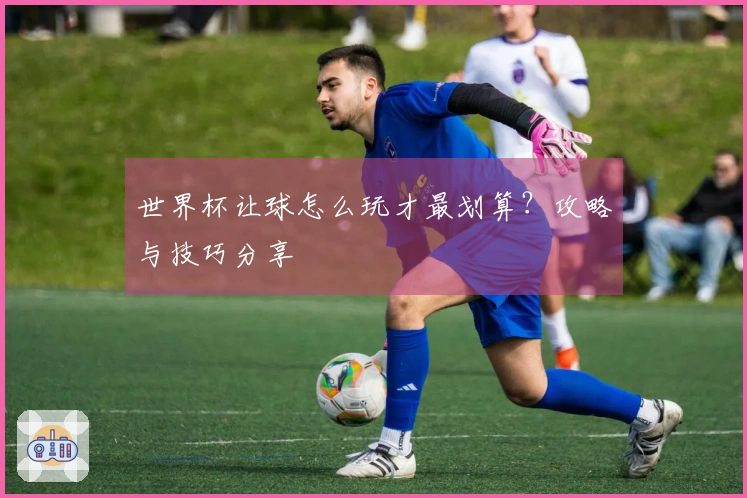 世界杯让球怎么玩才最划算？攻略与技巧分享