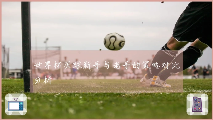 世界杯买球新手与老手的策略对比分析