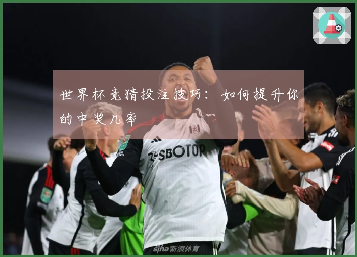 世界杯竞猜投注技巧：如何提升你的中奖几率