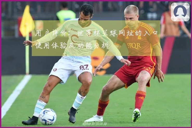 用户评价：世界杯买球网址的入口使用体验及功能分析