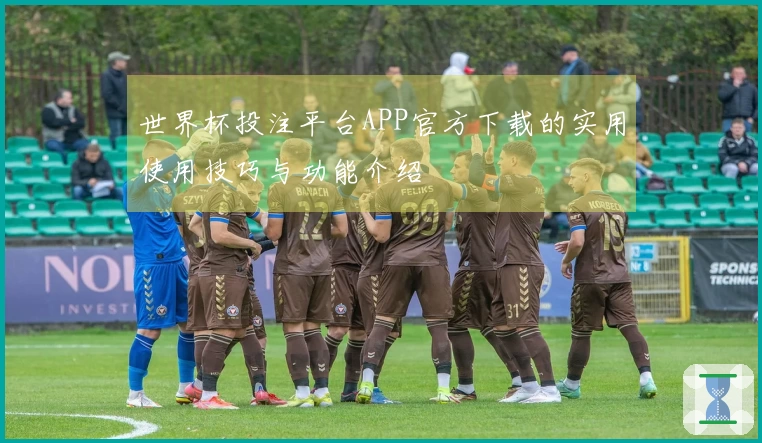 世界杯投注平台APP官方下载的实用使用技巧与功能介绍