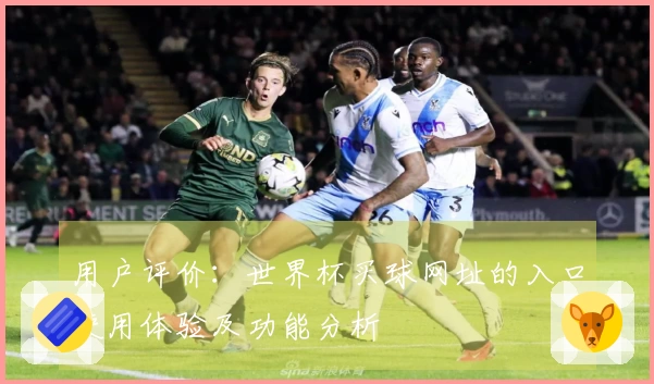 用户评价：世界杯买球网址的入口使用体验及功能分析