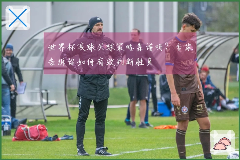 世界杯滚球买球策略靠谱吗？专家告诉你如何有效判断胜负
