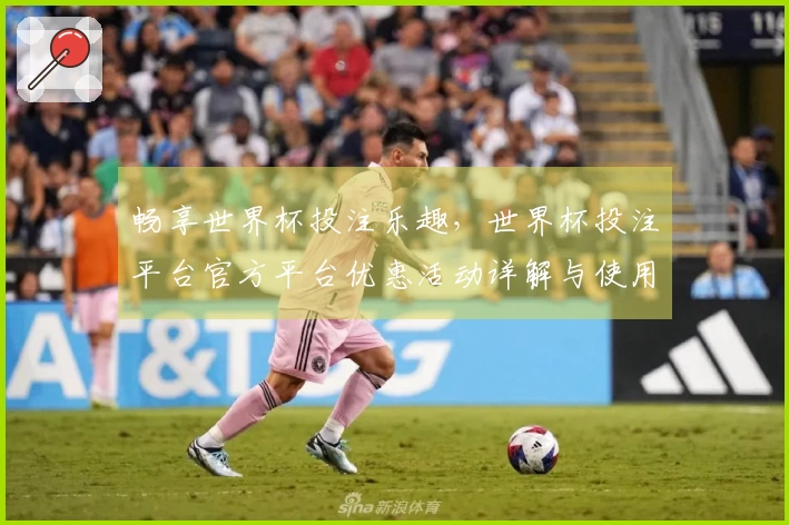 畅享世界杯投注乐趣，世界杯投注平台官方平台优惠活动详解与使用指南