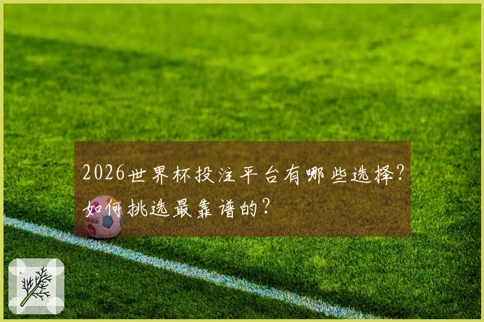 2026世界杯投注平台有哪些选择？如何挑选最靠谱的？